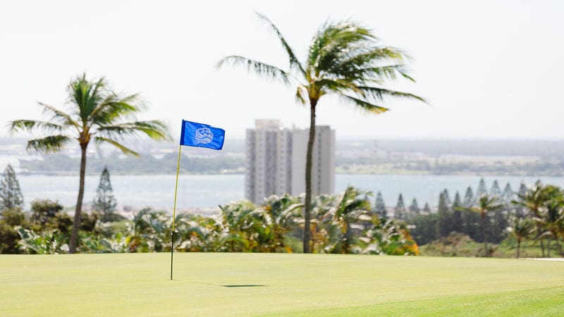 Pearl at Kalauao FT