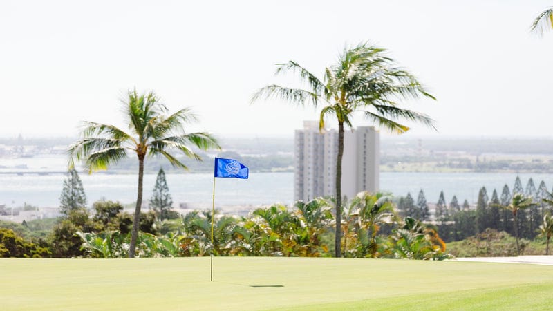 Pearl at Kalauao FT