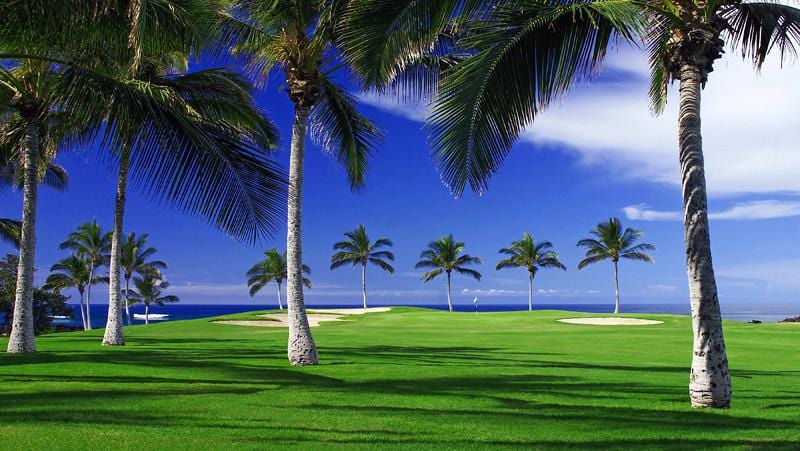 Waikoloa Beach view from 8 tee box towards the palms and ocean