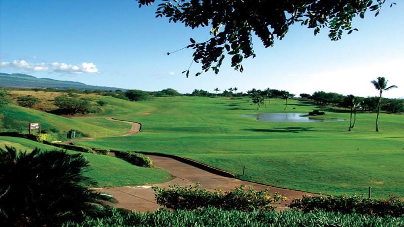 Elleair Golf Club Course with mountain view