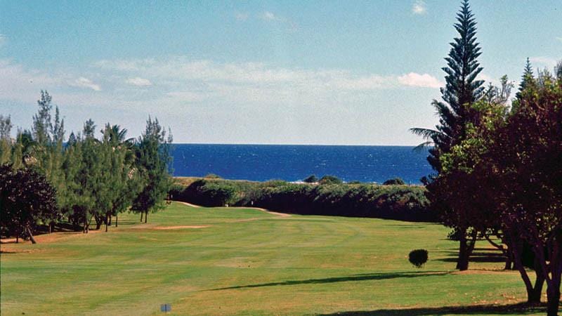 sachin and babi light blue dress Hawaii Kai Golf Course ft