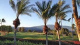 Views of Palms at The Waikoloa Kings Golf Course in Hawaii