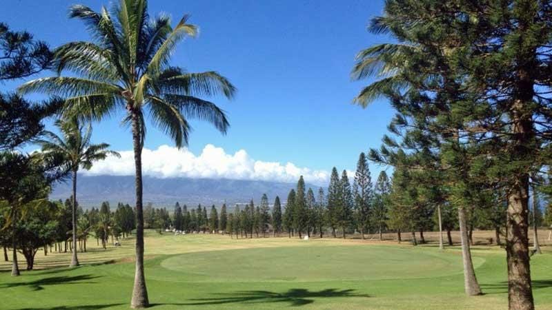 Pukalani Golf Course view from behind green