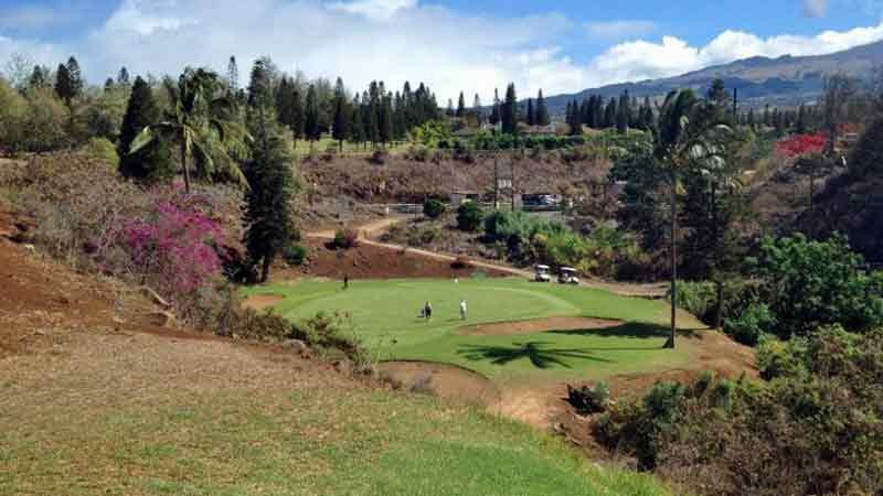 Pukalani Par 3 signature hole  Hawaii Tee Times