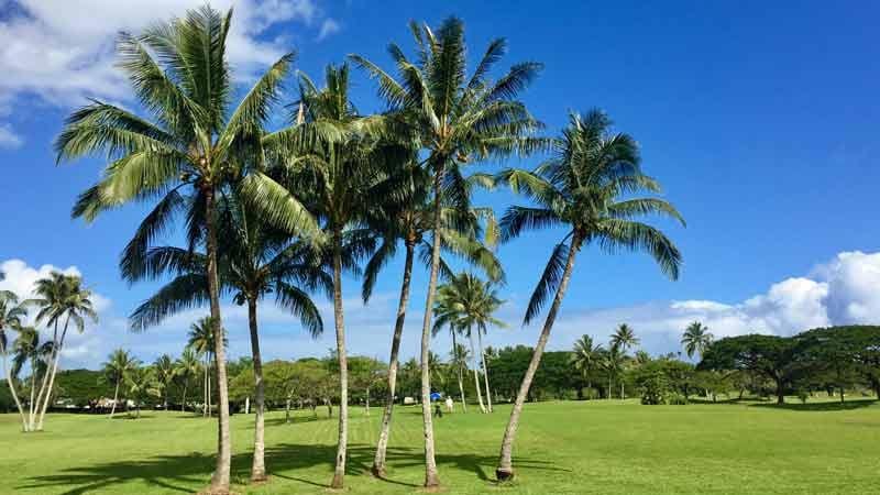 Kaneohe Bay View FT