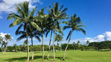 Kaneohe Bay View