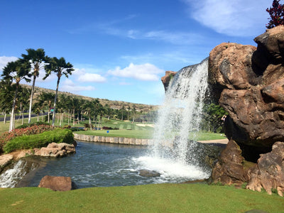 2016 LPGA LOTTE Championship