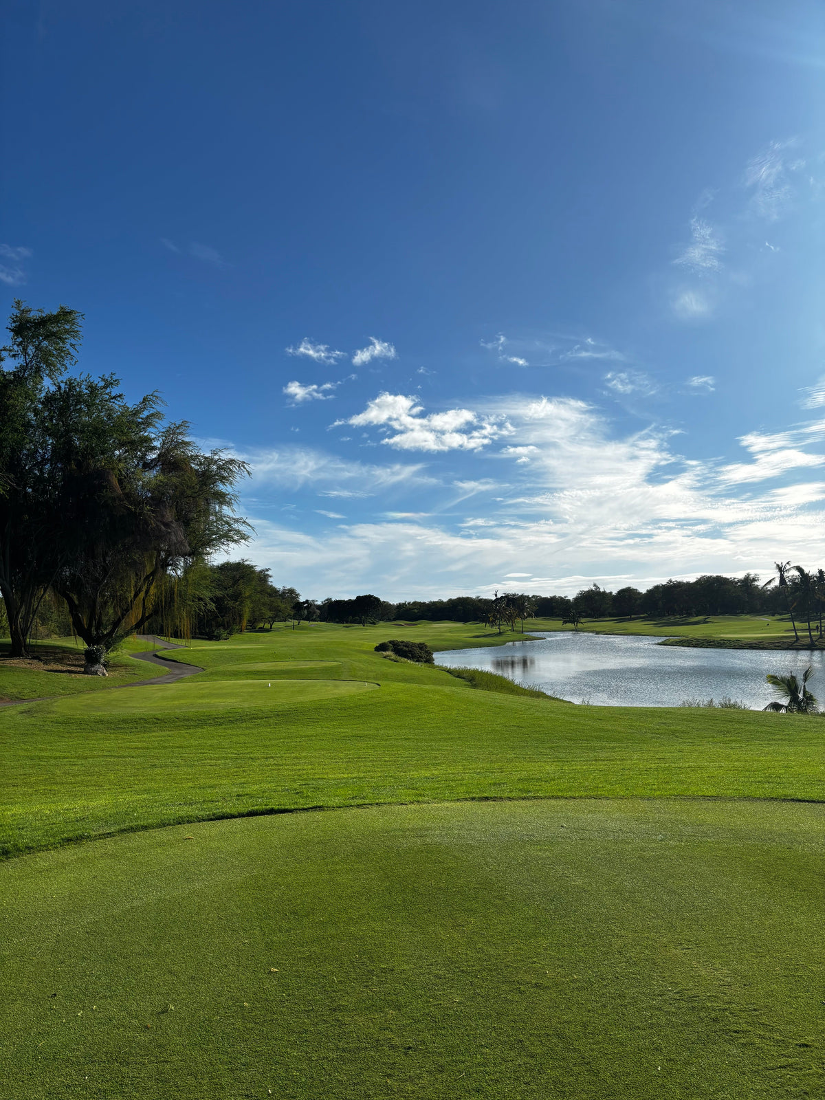 Hawaii Tee Times | Local Hawaii Golf Experts & Discount Tee Times
