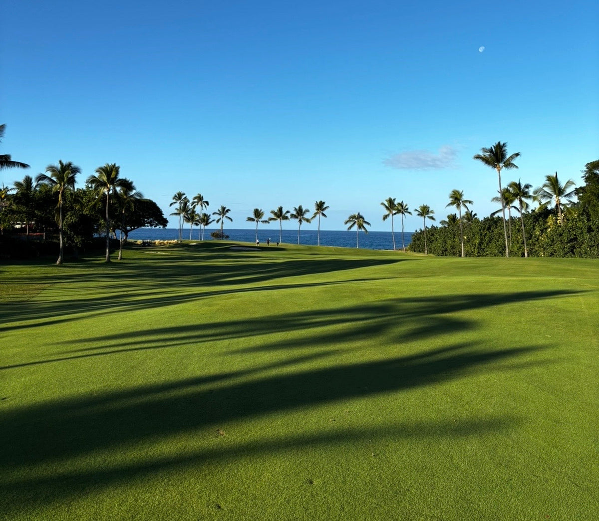 Big Island Golf: Book and Golf Now with Local Experts | Hawaii Tee Times
