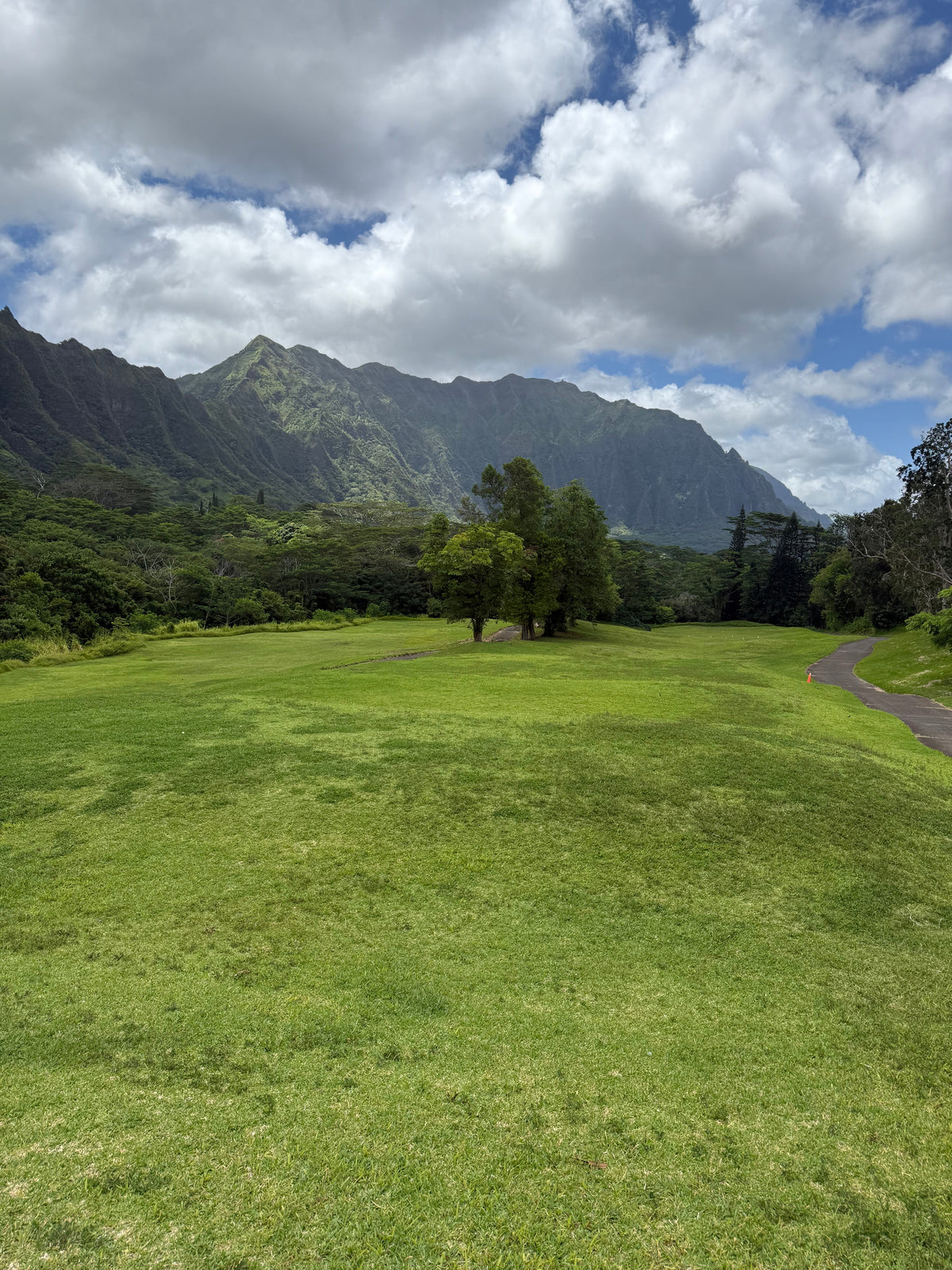 Book the Best Golf in Hawaii — Outdoors and Indoors