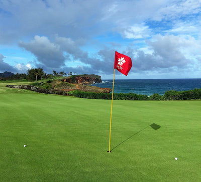 Best Kauai Golf Courses to Play & Book | Hawaii Tee Times