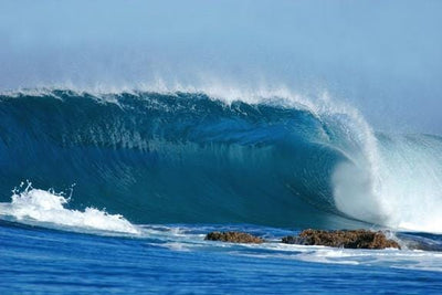 Legendary Winter Waves