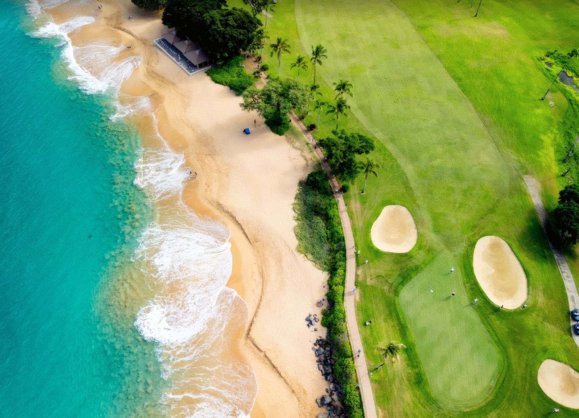 Turtle Bay Palmer