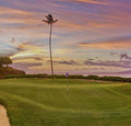 Putting green and palm tree at sunset at Kaanapali Royal Course