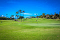 Putting green with palm trees at Kaanapali Royal Course