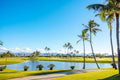 hawaii prince golf club palms
