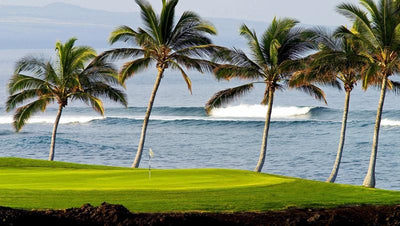 Waikoloa Beach and beautiful palms at the ocean