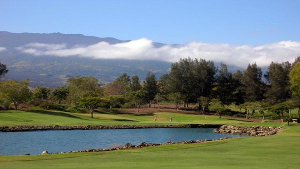 AA - Big Island