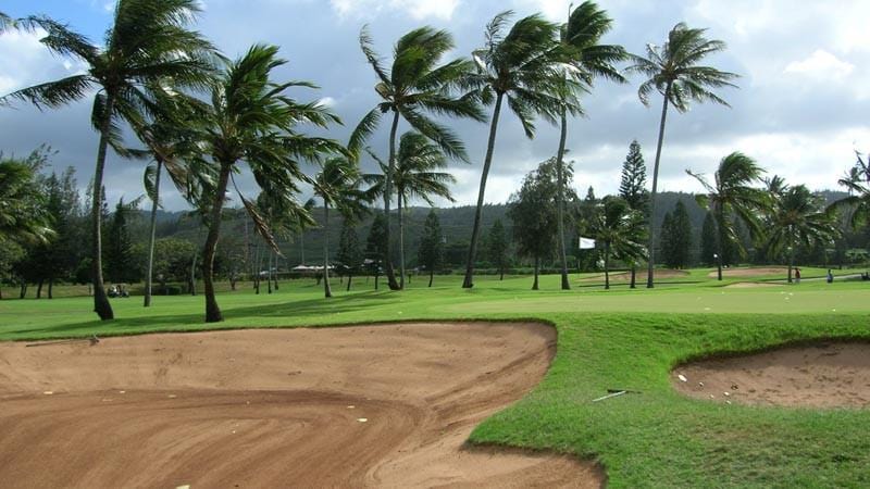 Turtle Bay Resort Fazio front nine with lots of palms blowing