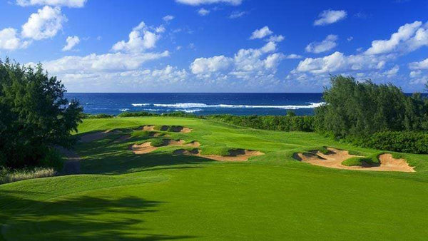 Turtle Bay Palmer Course