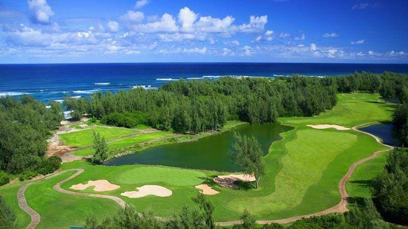 Turtle Bay Palmer