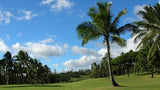 Pearl Country Club is known for lots of palms and fast greens