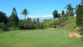 Pukalani Country Club 3rd Green
