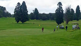 Volcano Golf Club back nine green