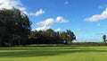 14th green Turtle Bay Palmer