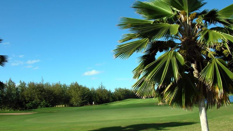 Hawaii Prince Golf Club greens