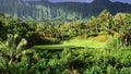 Royal Hawaiian Golf Club signature par 3 12th hole