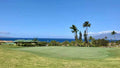 Palm trees and ocean views from Kaanapali Royal Course
