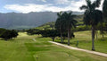 Palm-lined fairway and cart path at Olomana Golf Links