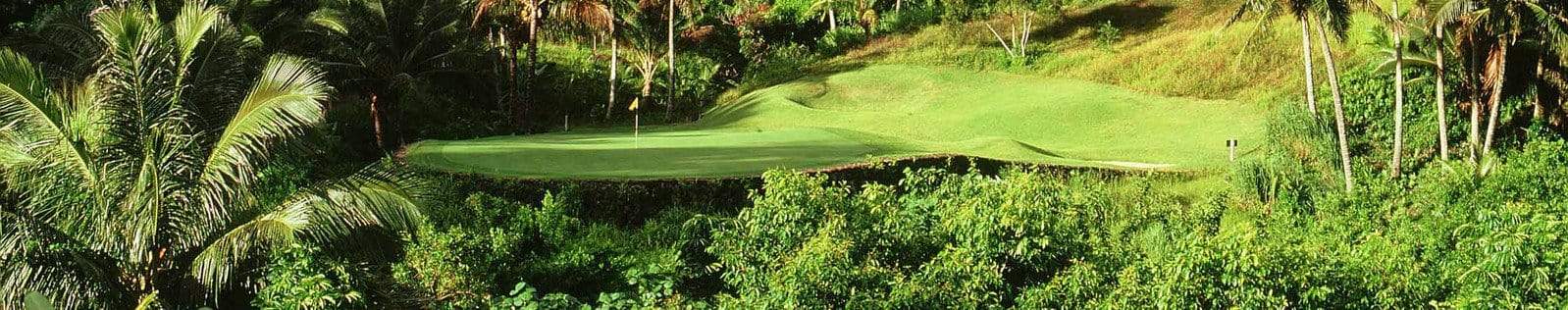 OAHU GOLF TEE TIMES