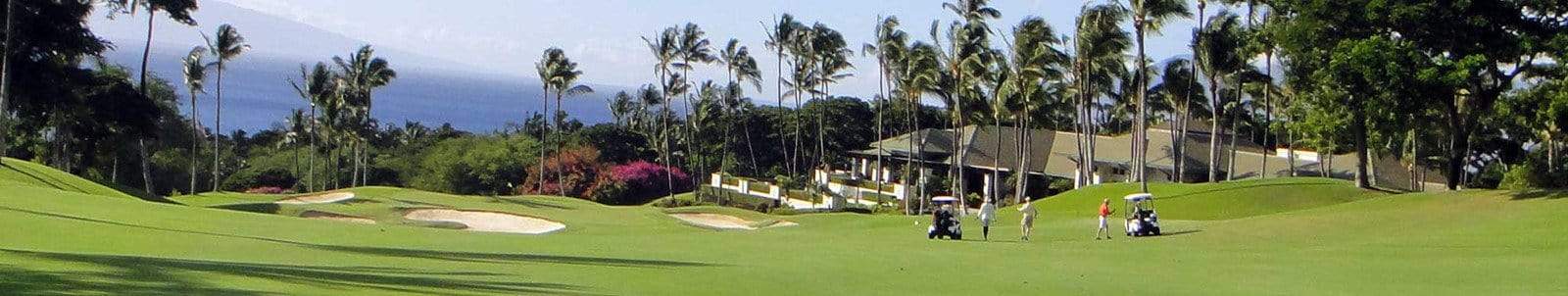 MAUI GOLF TEE TIMES